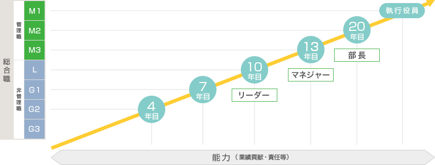 キャリアモデル:総合職