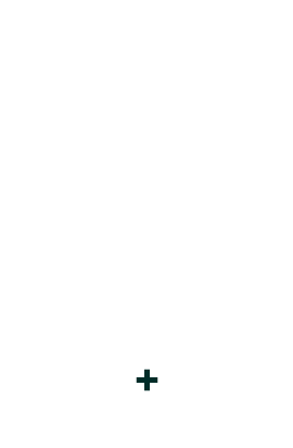 ベーシックプラン