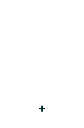 リロケーションプラン