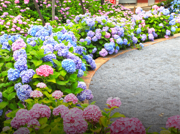 しながわ中央公園（現地より約310ｍ）