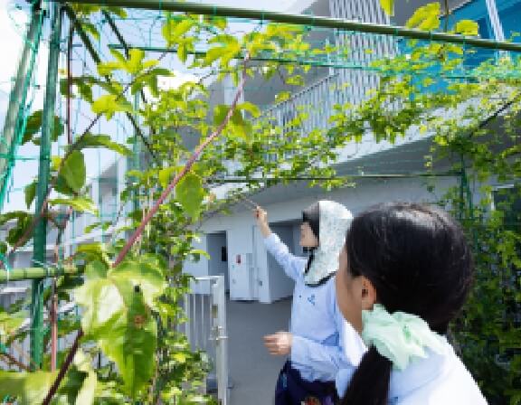 緑のコンシェルジュが週2回訪問