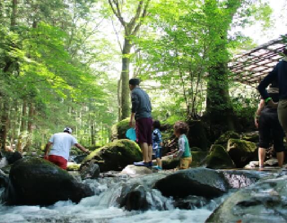 小田原自然体験エコツアー