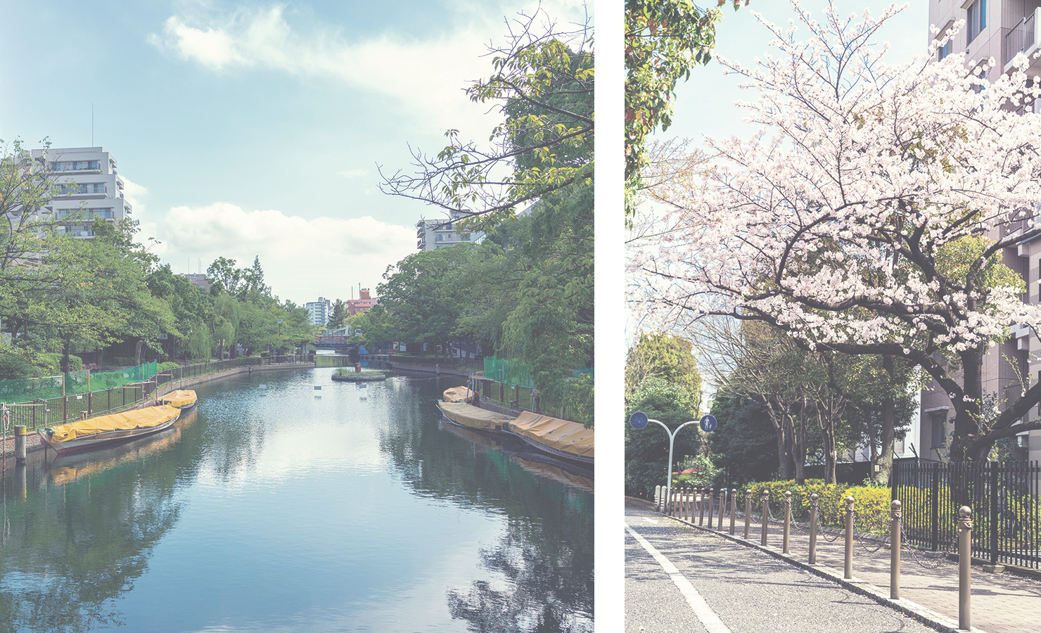 左：横十間川親水公園　右：州崎川緑道公園