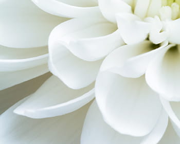 image photo
