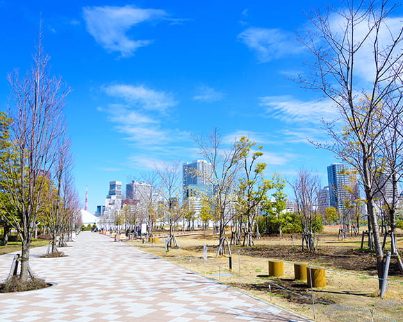 芝浦中央公園（徒歩7分/約560m））