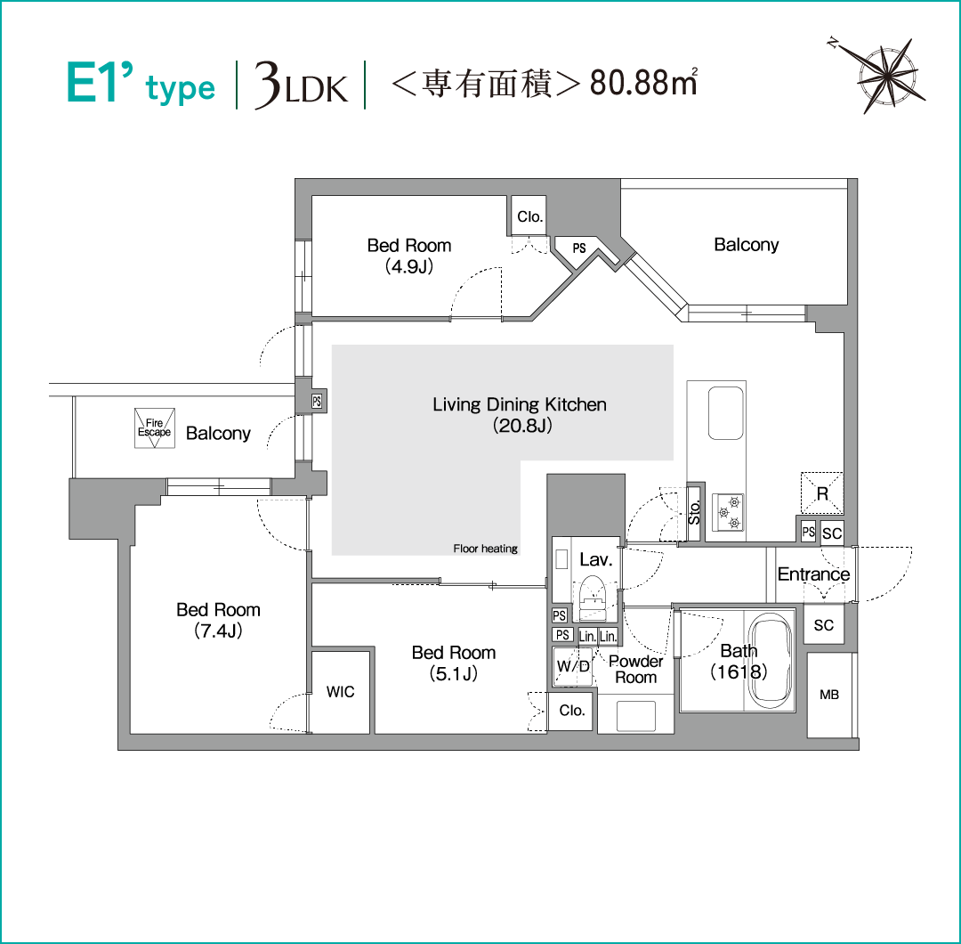 E1'type