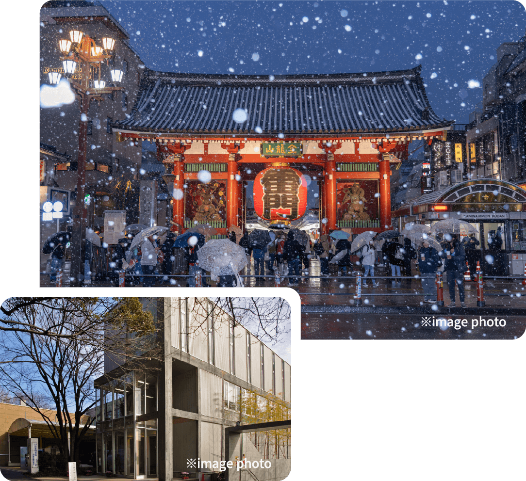 冬