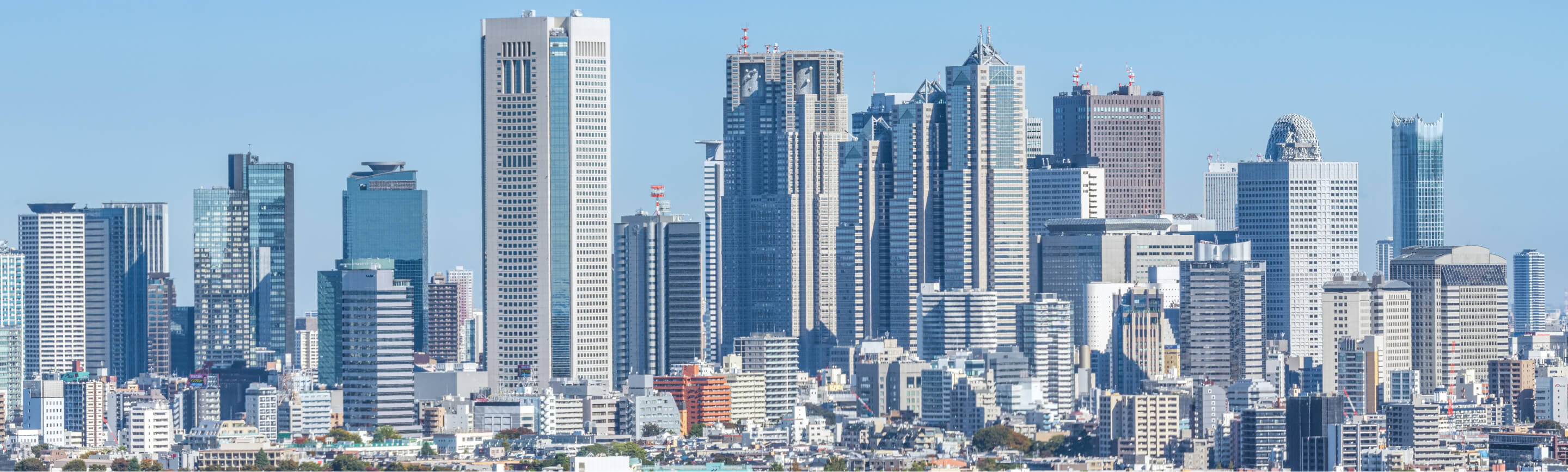 【公式】Prima Stella