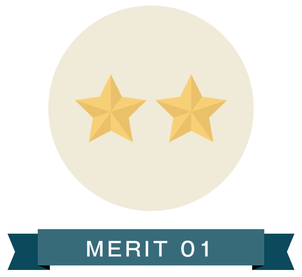 MERIT 01