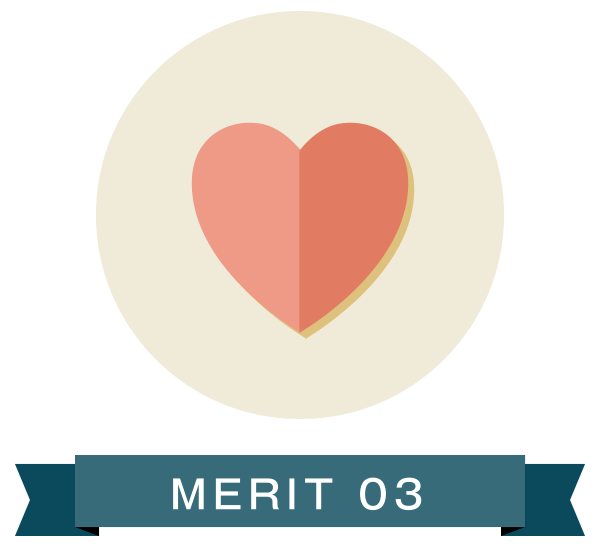 MERIT 03