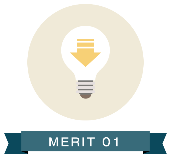 MERIT 01