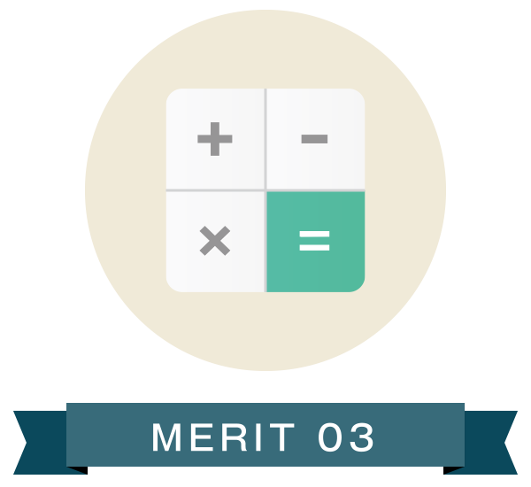 MERIT 03
