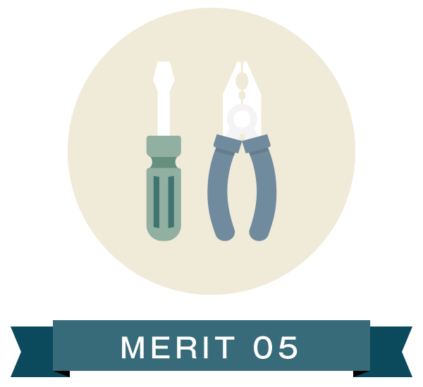 MERIT 05